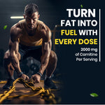 Vlado's Himalayan Organics, L-Carnitine L-Tartrate Green Tea, 2000mg - 120 Veg Tablets